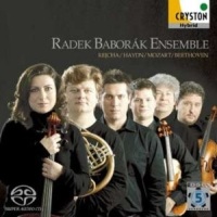 Radek Baborák Ensemble